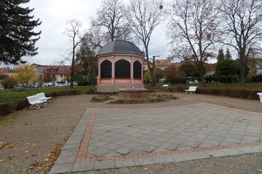 Apartment Am Kurpark Bad Frankenhausen Exterior photo